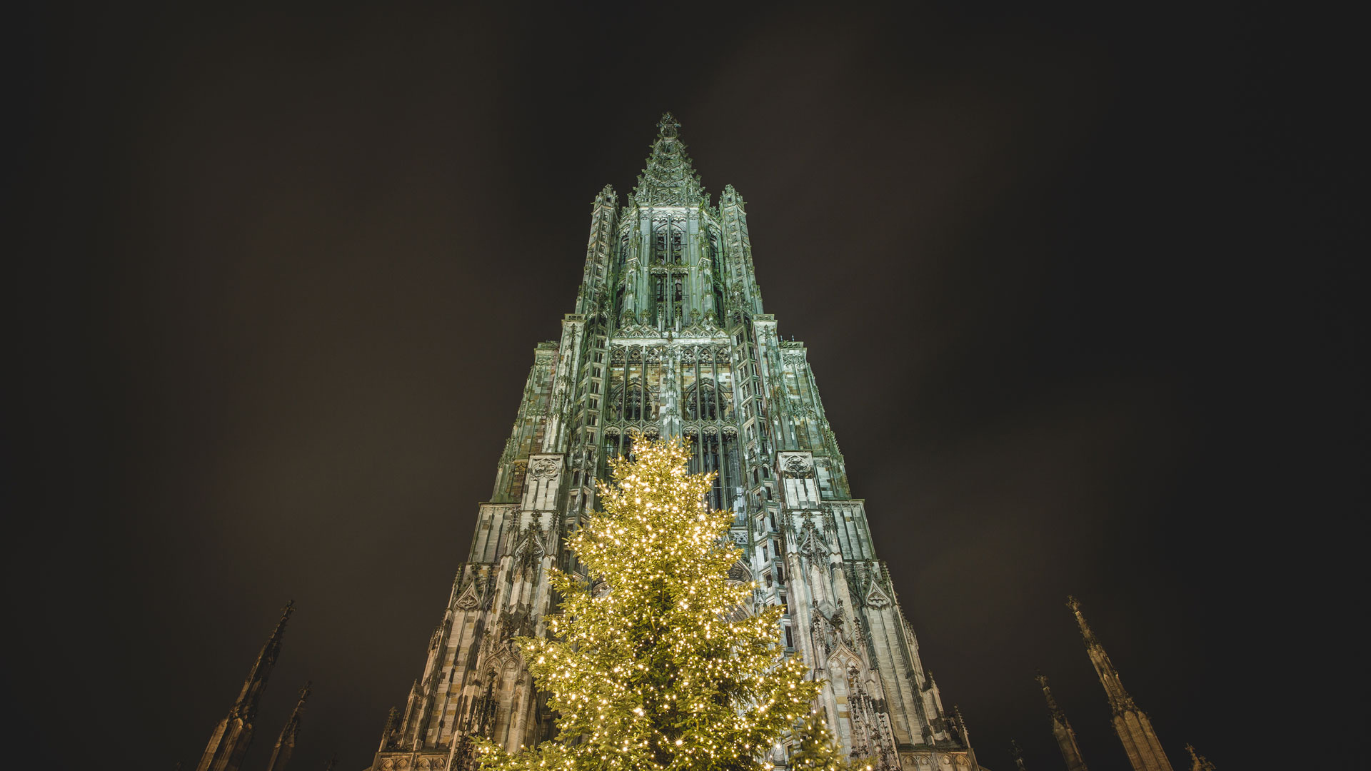Das Münster mit einem Weihnachtsbaum davor